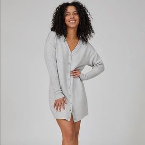 NWT Aritzia Wilfred Spa Mini Dress (aka Utopia Mini Dress)